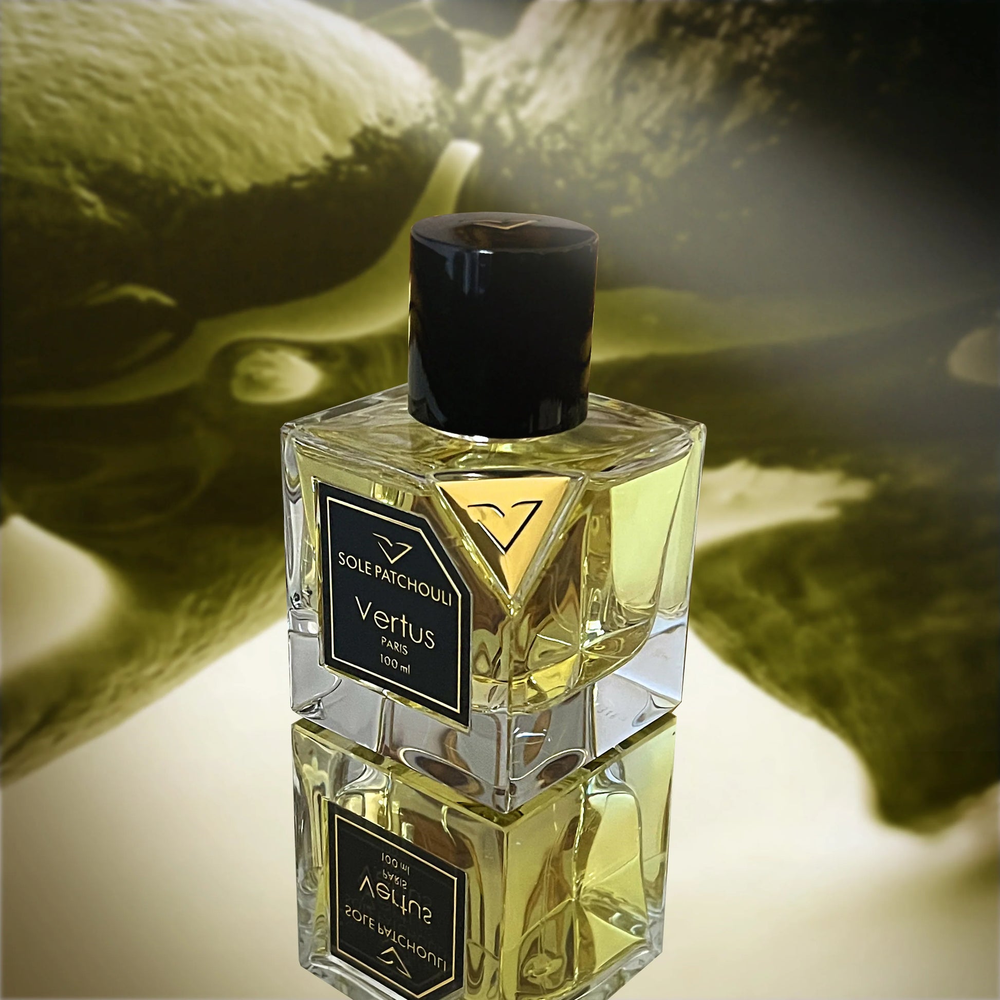 VERTUS - SOLE PATCHOULI