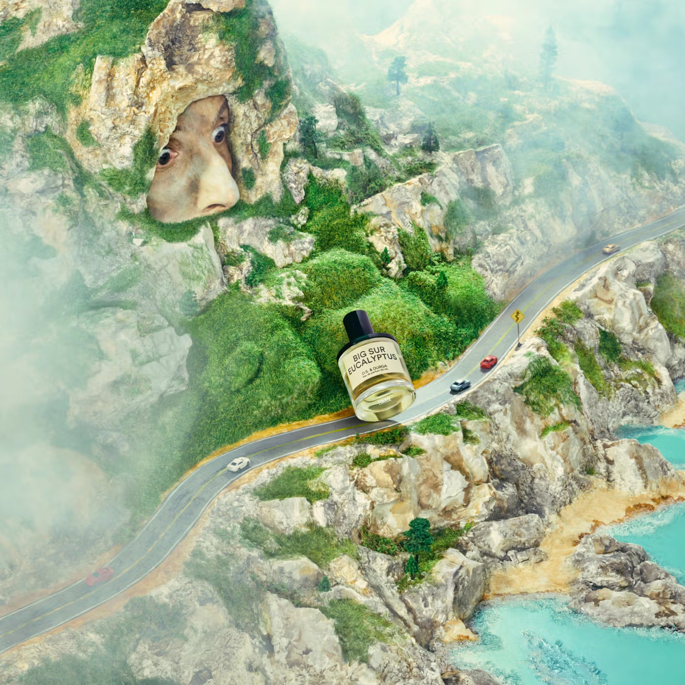 DS & DURGA - BIG SUR EUCALIPTUS