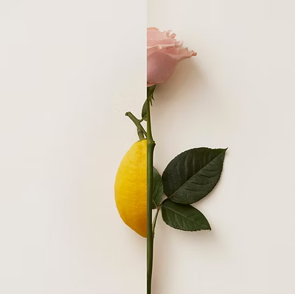 NEW NOTES - ROSA LIMONE