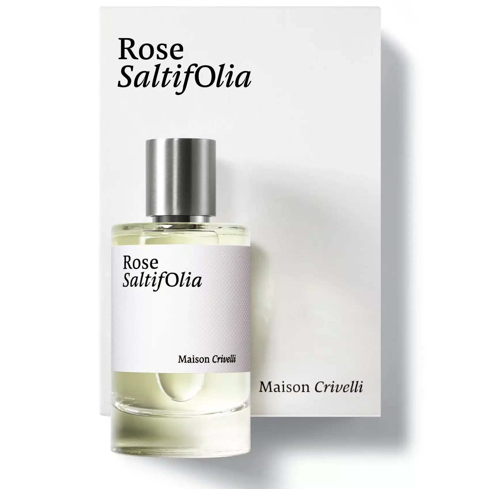 MAISON CRIVELLI - ROSE SALTIFOLIA