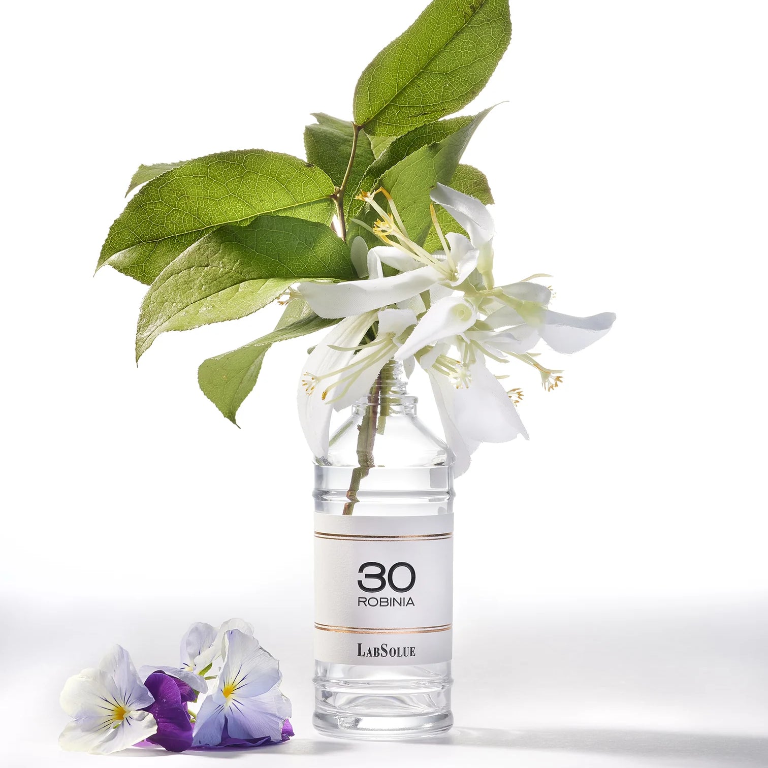 LABSOLUE - 30 ROBINIA