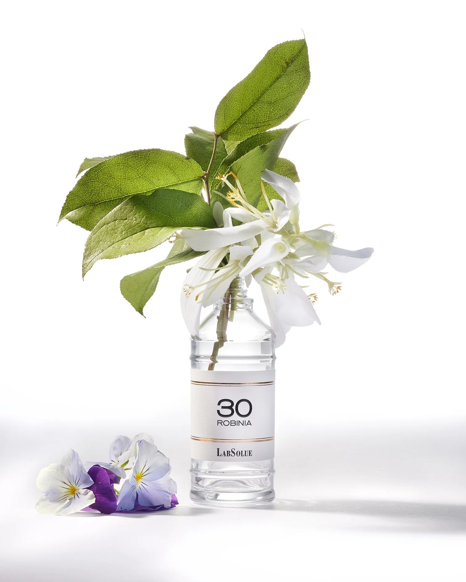 LABSOLUE - 30 ROBINIA