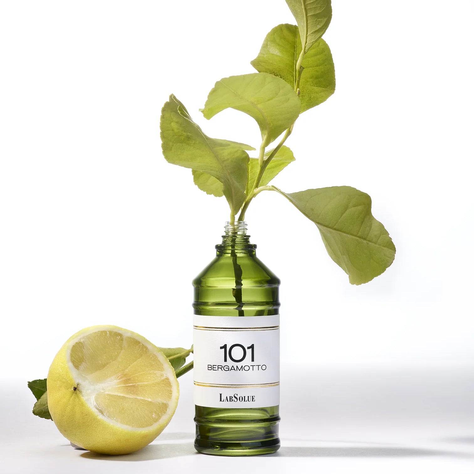LABSOLUE - 101 BERGAMOTTO