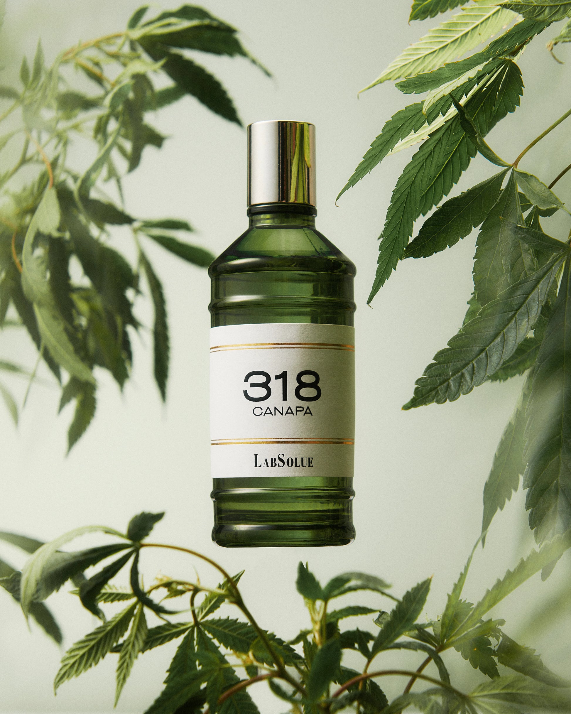 LABSOLUE -  318 CANAPA