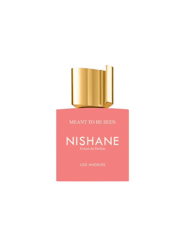 NISHANE - MEANT TO BE SEEN