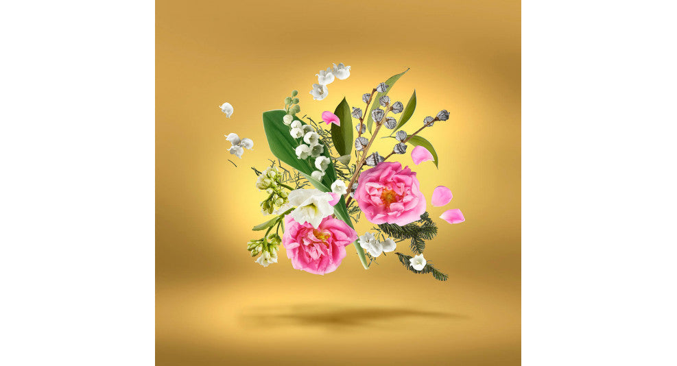 XERJOFF - ACCENTO OVERDOSE