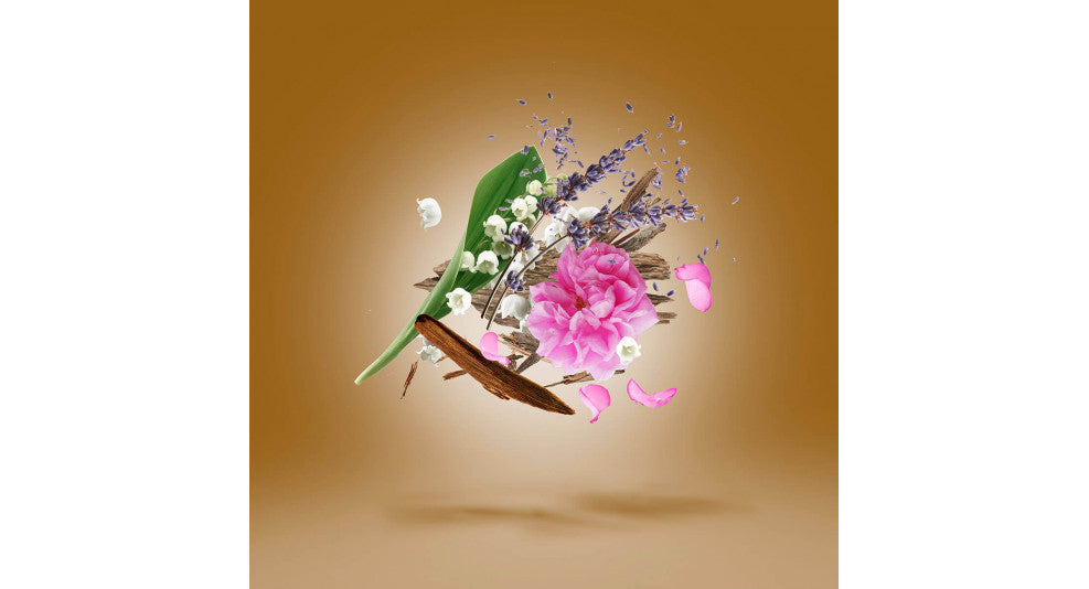 XERJOFF - ALEXANDRIA II