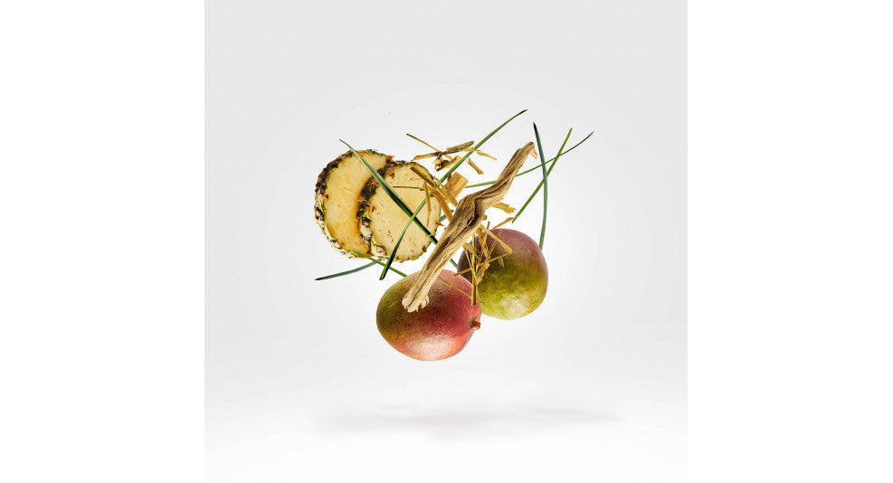 XERJOFF - CRUZ DEL SUR II