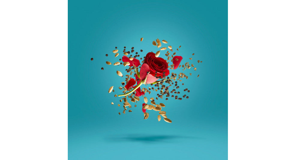 XERJOFF - GROOVE XCAPE