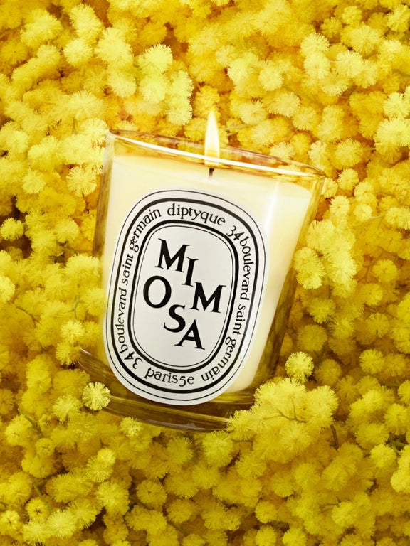 DIPTYQUE - MIMOSA CANDELA