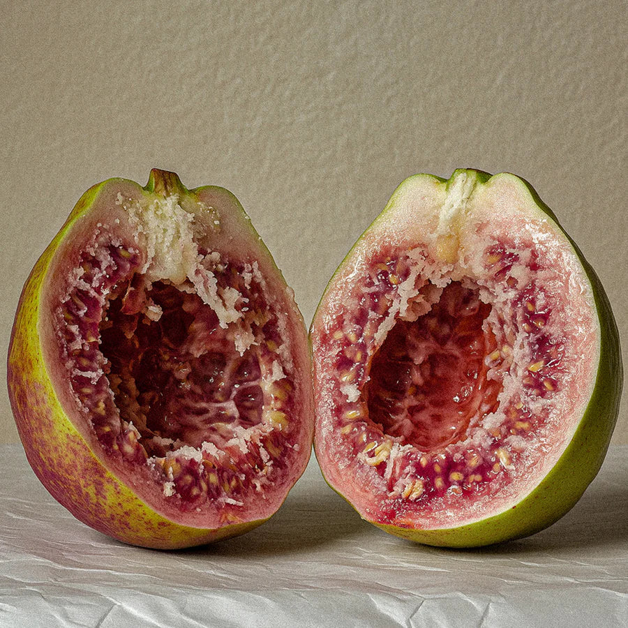 BORNTOSTANDOUT - BLACK GUAVA