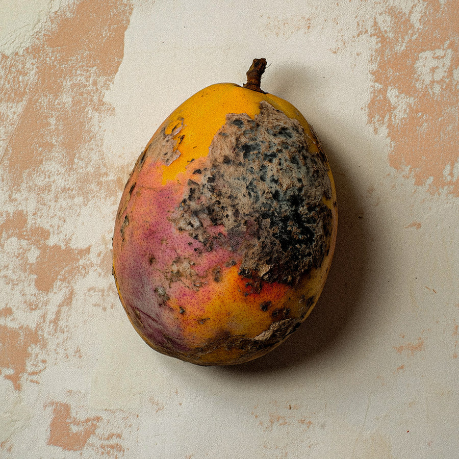 BORNTOSTANDOUT - BLACK MANGO