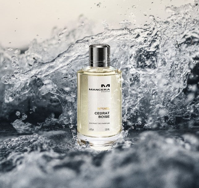 MANCERA - INTENSE CEDRAIT BOISE