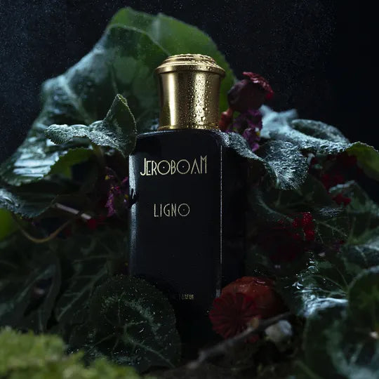 JEROBOAM - LIGNO