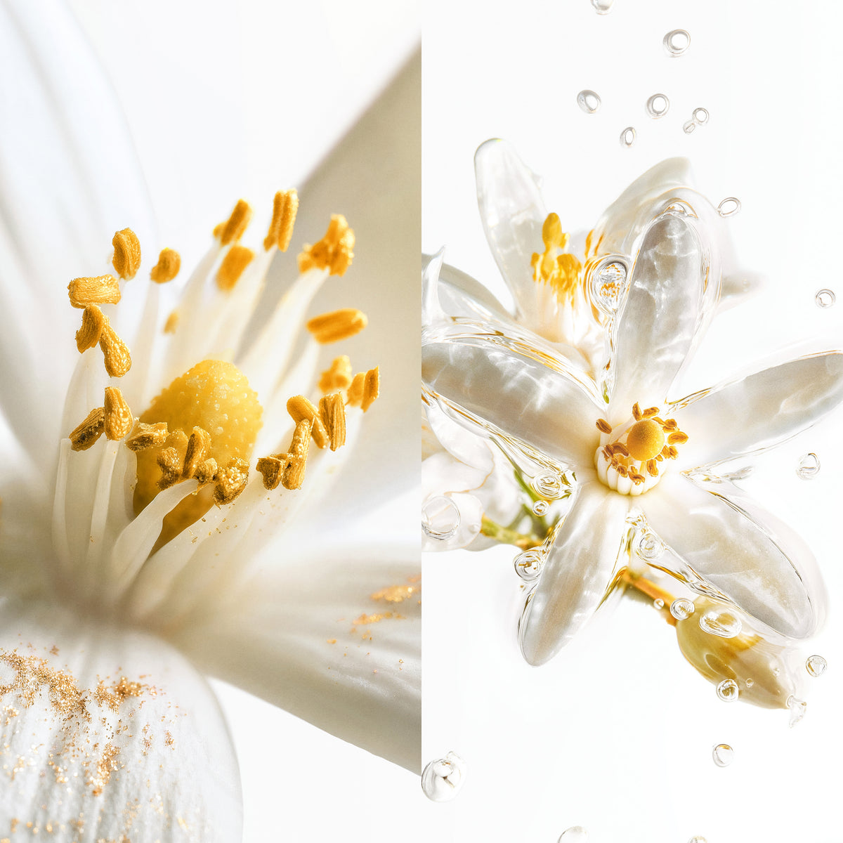 MAISON MARGIELA - SCENTSORIUM BLAZE OF STILLNESS