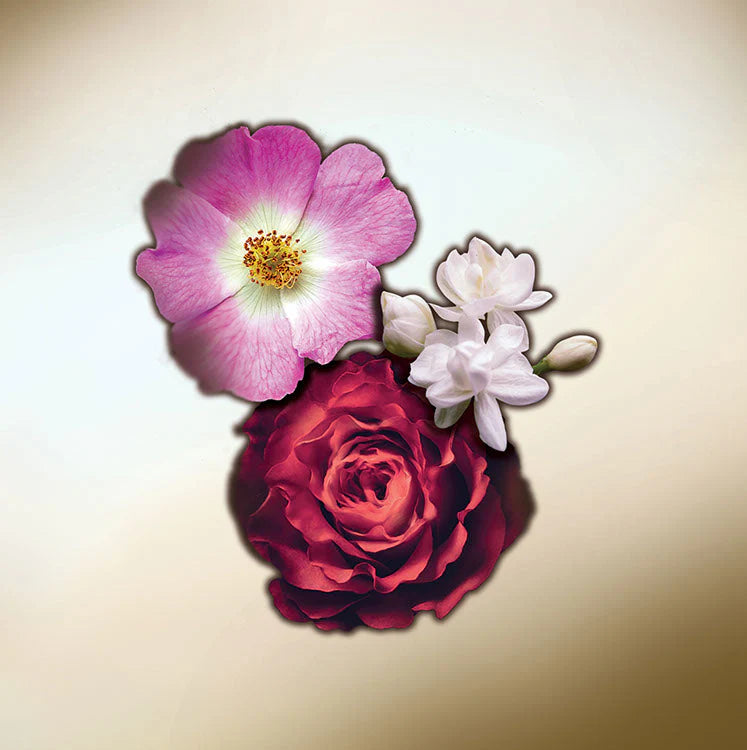 KEIKO MECHERI - MOGADOR