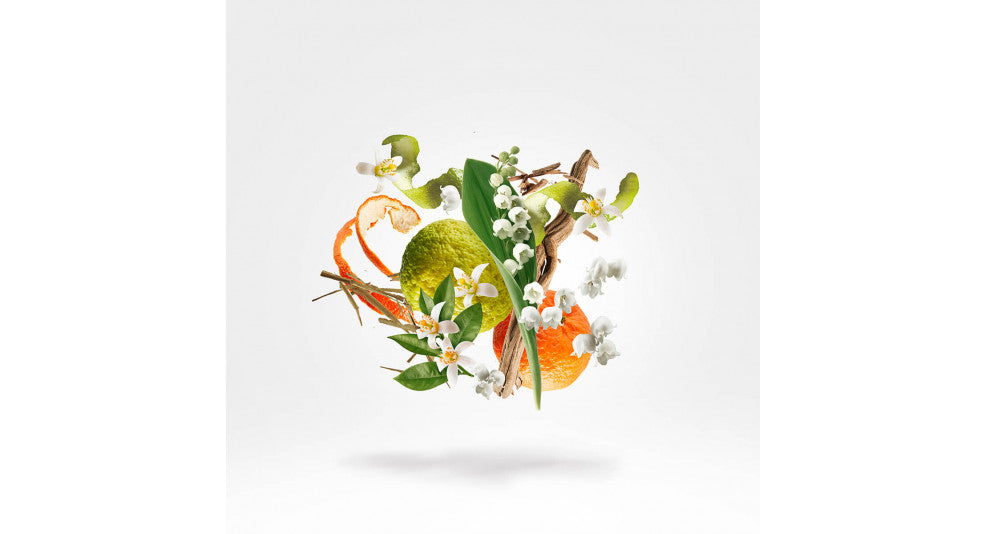 XERJOFF - RENAISSANCE