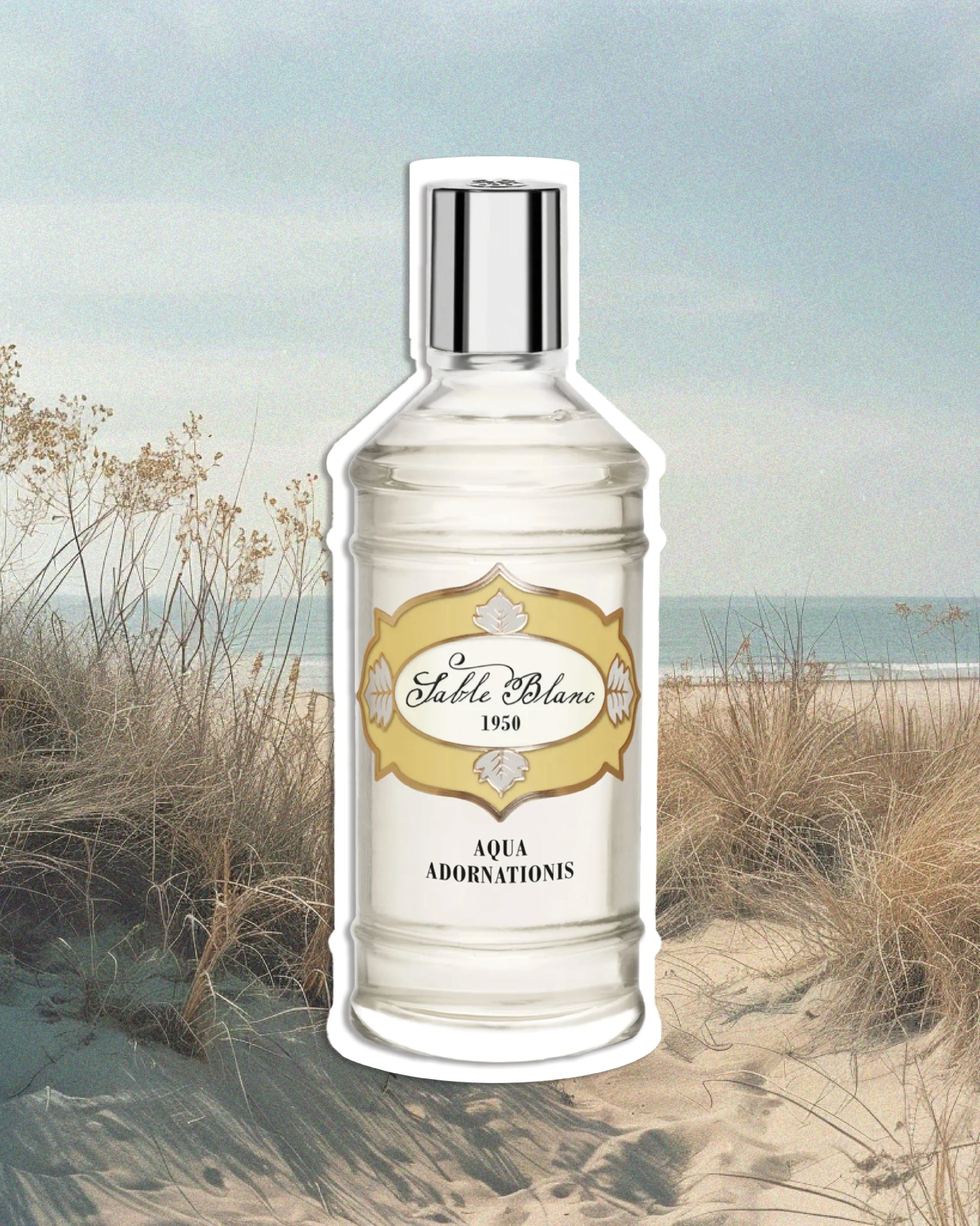 LABSOLUE - SABLE BLANC 1950