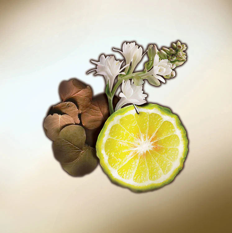 KEIKO MECHERI - THE BEAUTIFUL ONES