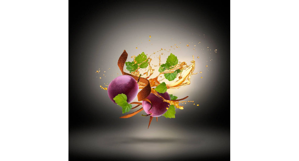 XERJOFF - TONY IOMMI