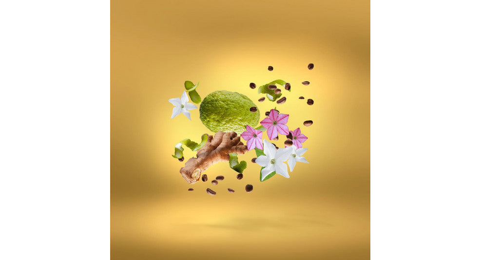 XERJOFF - UDEN OVERDOSE