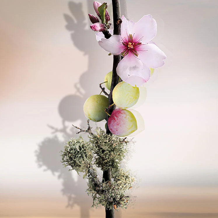 KEIKO MECHERI - UMÉ