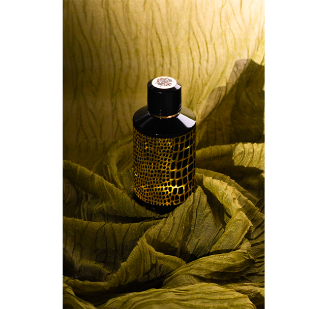 MANCERA - WILD PHYTON