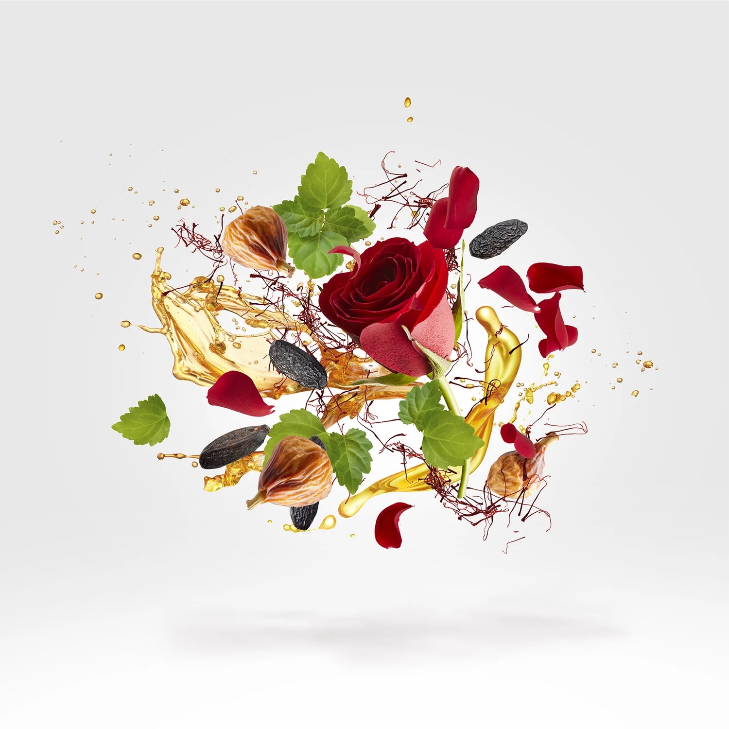 XERJOFF x DURAN DURAN - NEORIO