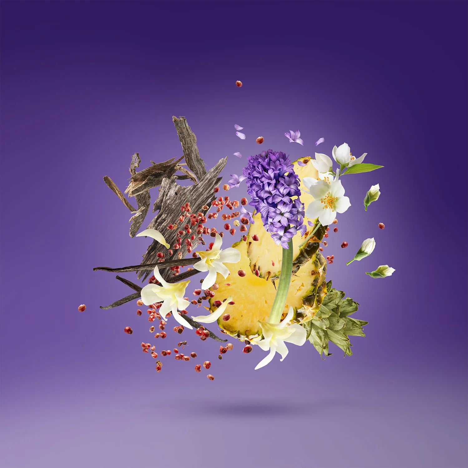 XERJOFF - PURPLE ACCENTO